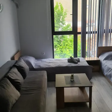 за гости ивая Apartment *
