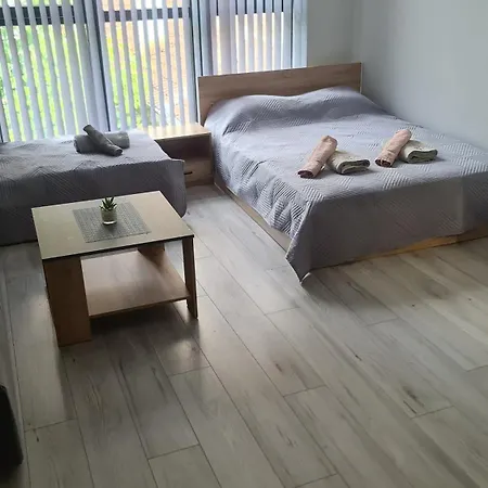 за гости ивая Apartment