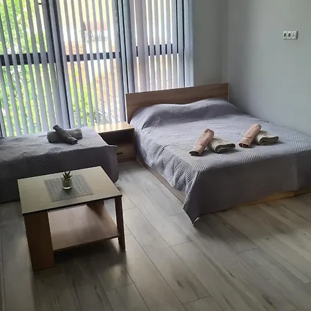 Apartment за гости ивая