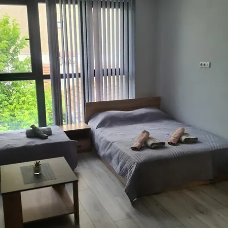 Apartment за гости ивая