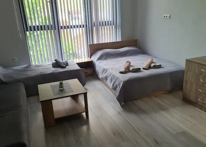 Lejlighed за гости ивая