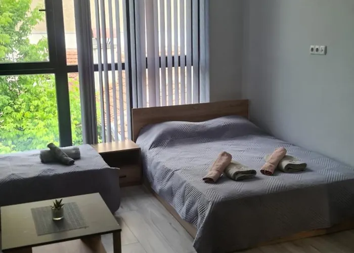 Lejlighed за гости ивая